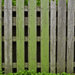 Top 5 Ways to Replace Your Fence