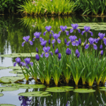 Best Plants for Your Garden Pond
