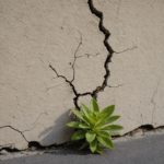 Foundation Repair: What Homeowners Should Know