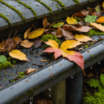 How Clogged Gutters Can Damage Your Home