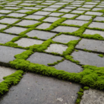 Top 5 5 Ways to Inspect Your Driveway