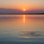 Pool Maintenance Tips for Busy Homeowners