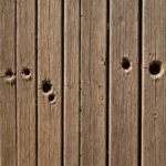 Complete Guide to Inspect Your Fence